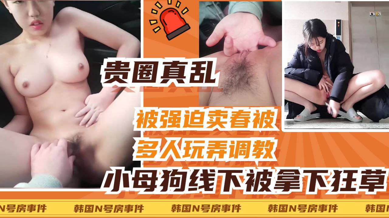 [SSNI -888] 清纯校花被老司机线下 ;\拿下，车震爆操狂扣骚穴内射海报